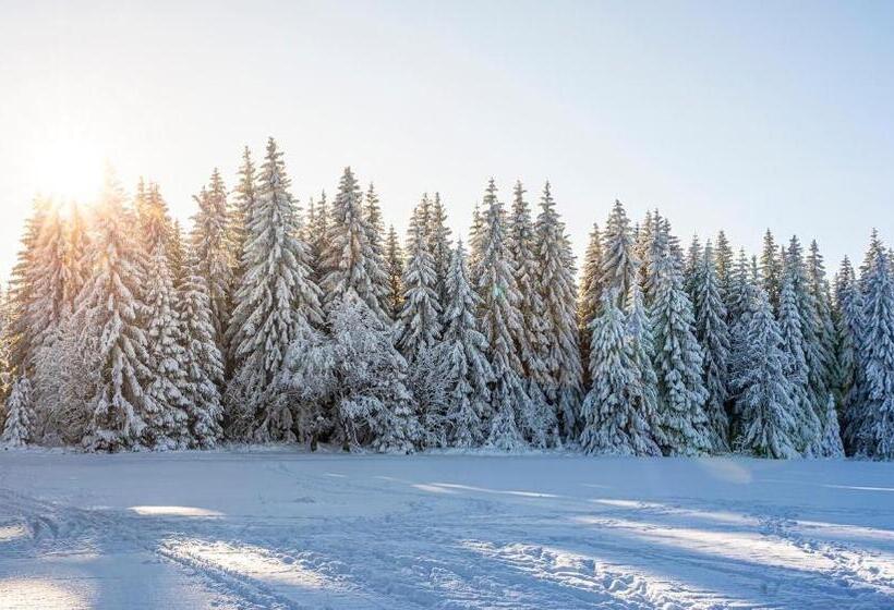 Пансион Penzion U Churáňů