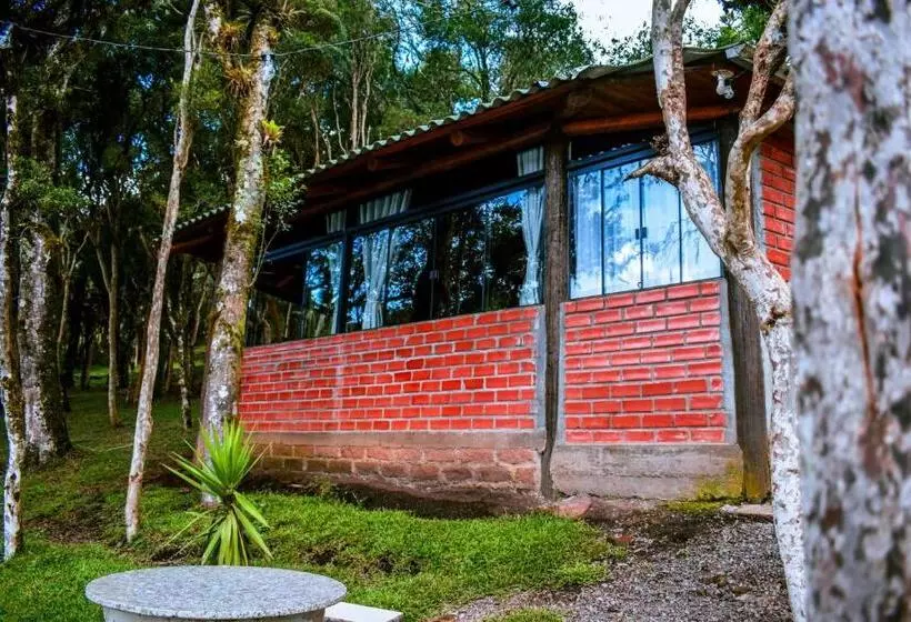 Retkeilymaja Oásis Pousada