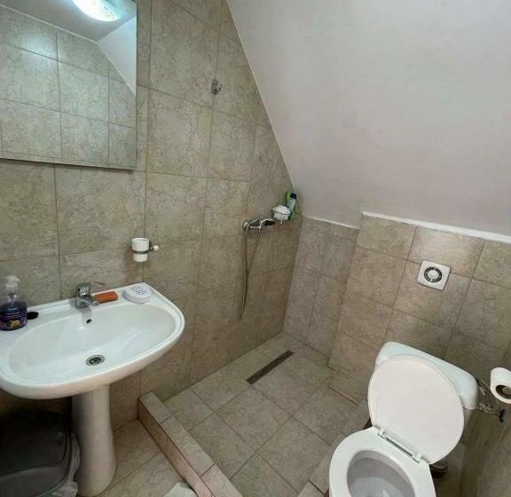 Pensionat Casa Wiesmann Băile Felix