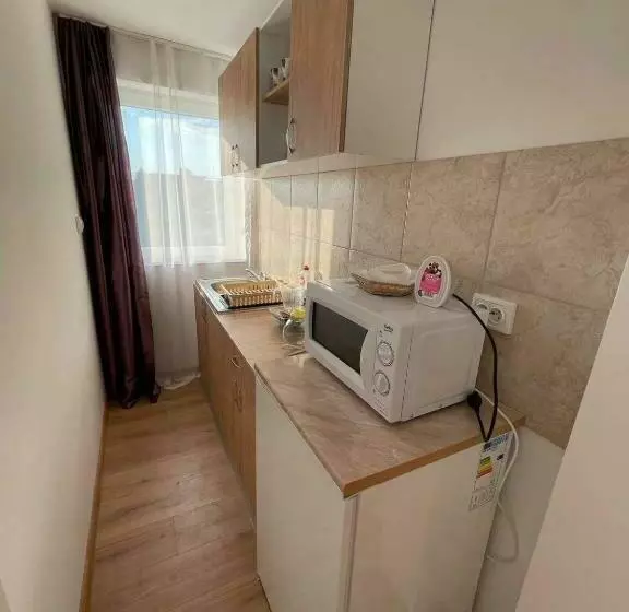 Majatalo Casa Wiesmann Băile Felix