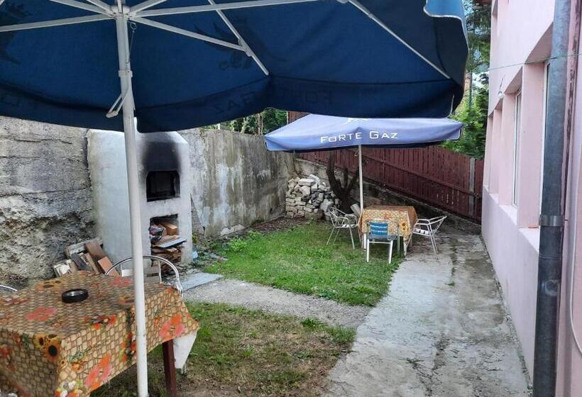 بنسيون Vila Danlavi Busteni