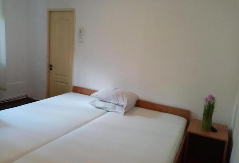 بنسيون Vila Danlavi Busteni