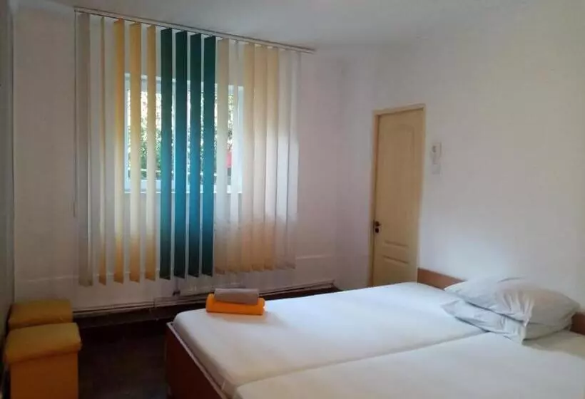 ペンション Vila Danlavi Busteni