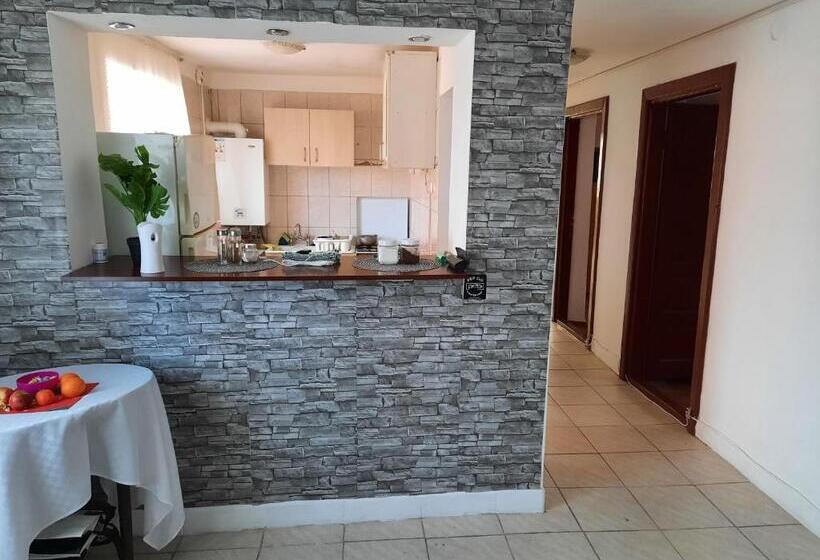 بنسيون Vila Danlavi Busteni