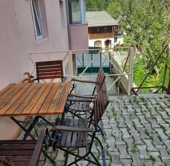 بنسيون Vila Danlavi Busteni