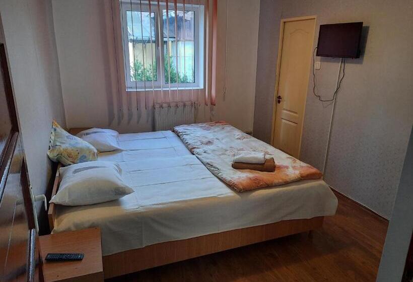 بنسيون Vila Danlavi Busteni