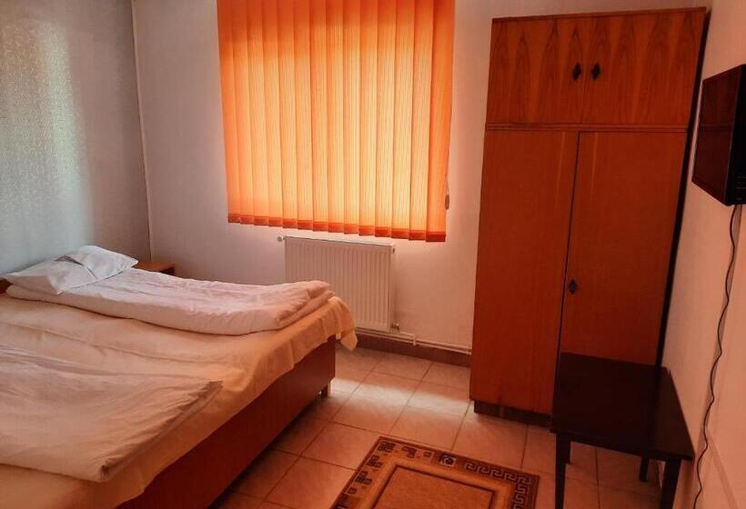 بنسيون Vila Danlavi Busteni