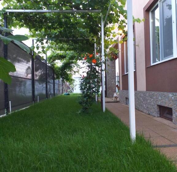 پانسیون Vila Mercury Mamaia Nord