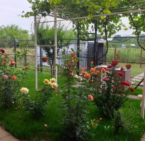 Majatalo Vila Mercury Mamaia Nord