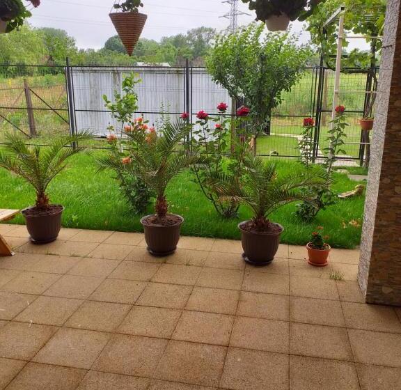 پانسیون Vila Mercury Mamaia Nord