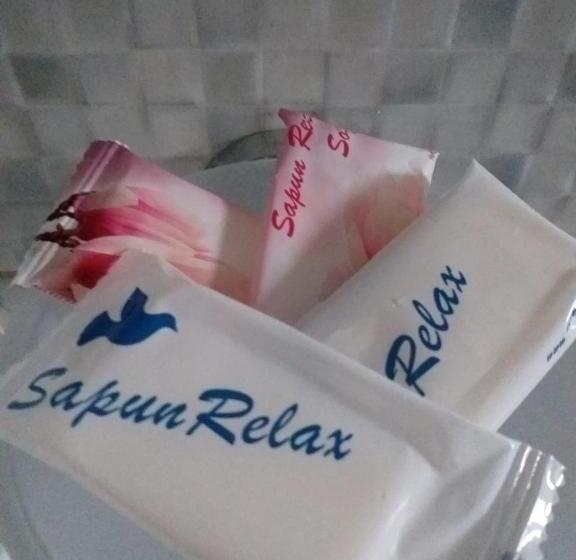 پانسیون Vila Mercury Mamaia Nord