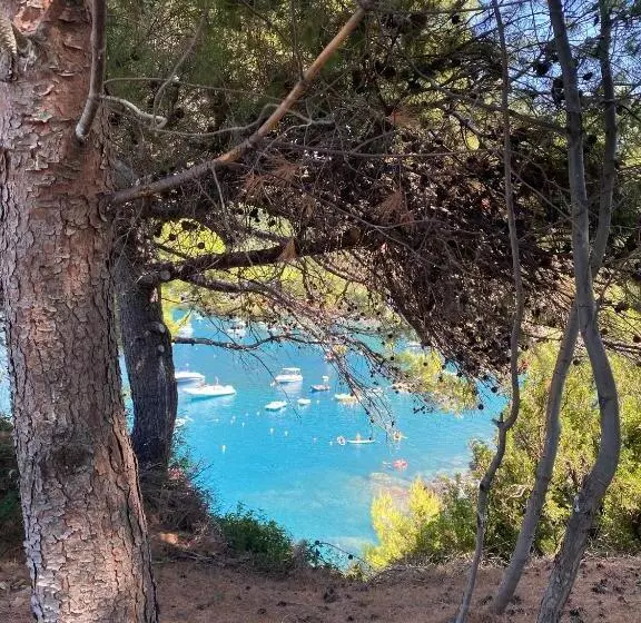 Un Raggio Di Sole