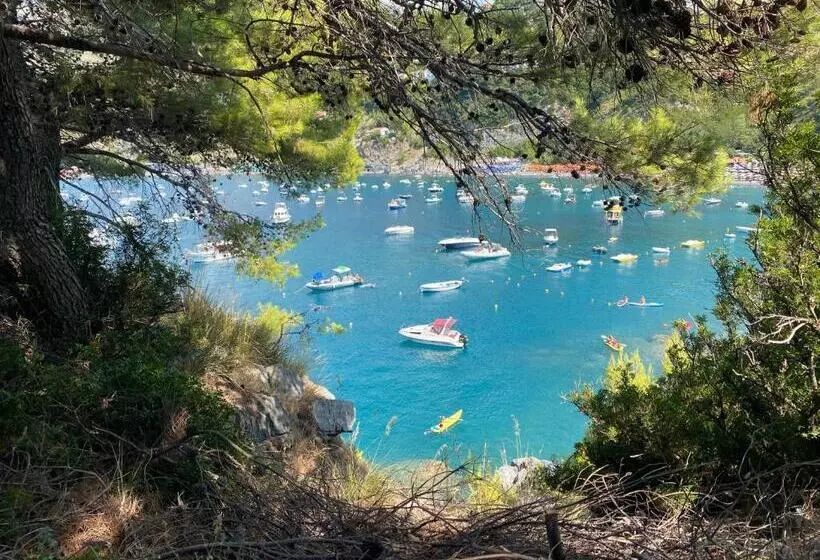 Un Raggio Di Sole
