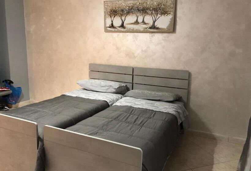 B&b International Patrizya