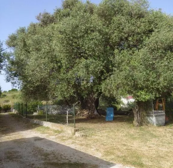 Casa Olea