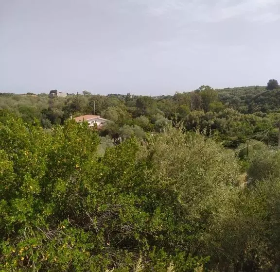 Casa Olea