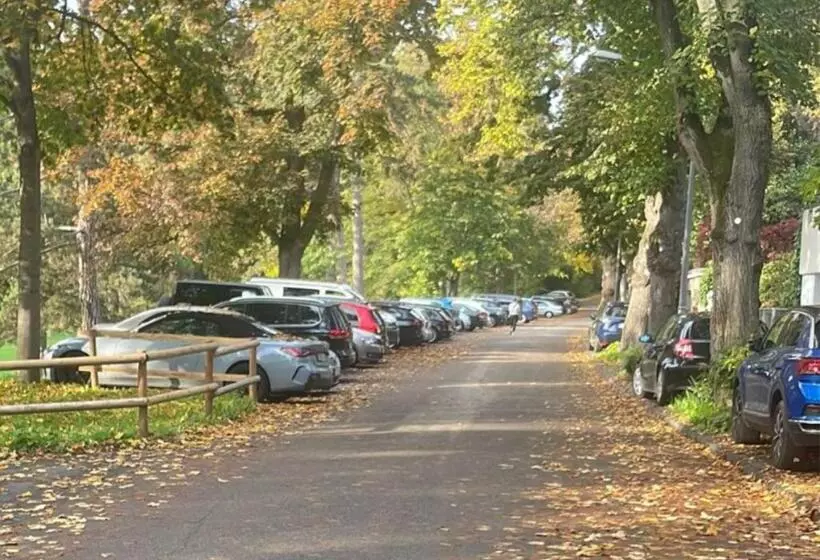 Loft Apartment   Bestlage Am Kurpark Mit Terrasse   Kostenloses Parken   Küche   Netflix   Waschmasc