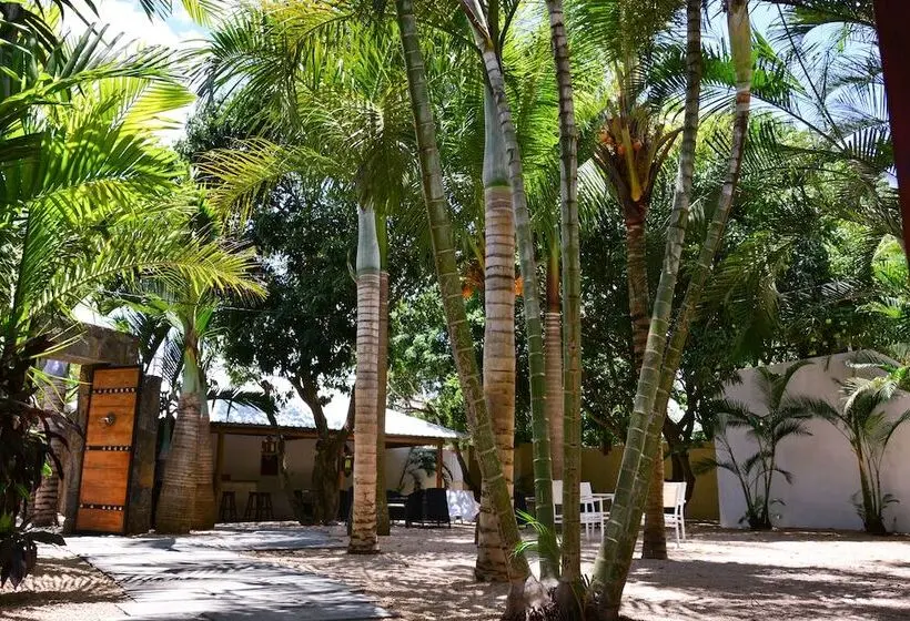 هتل La Margarita