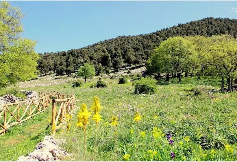 Spiaggia Lunga Camping