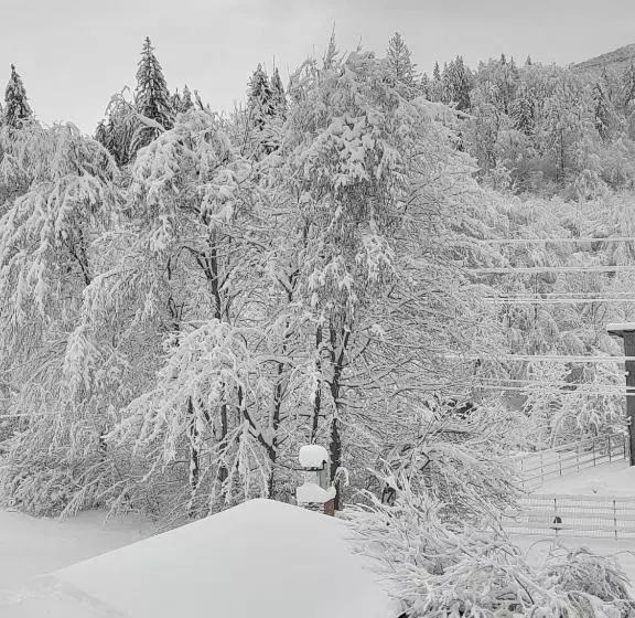 Pensiunea La Padure Cheia, Prahova