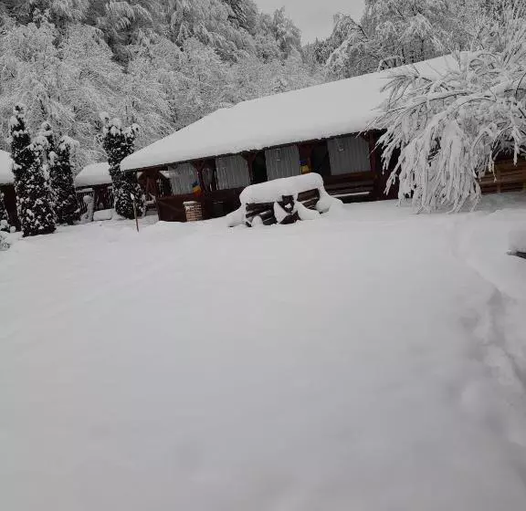 Pensiunea La Padure Cheia, Prahova
