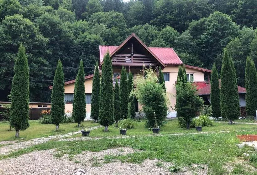 Pensiunea La Padure Cheia, Prahova
