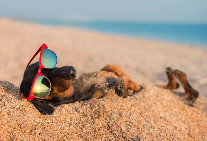 Cheerful Fisherman,s Cottage