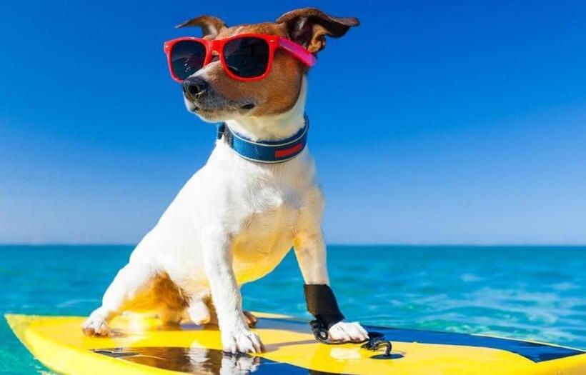 Cheerful Fisherman,s Cottage