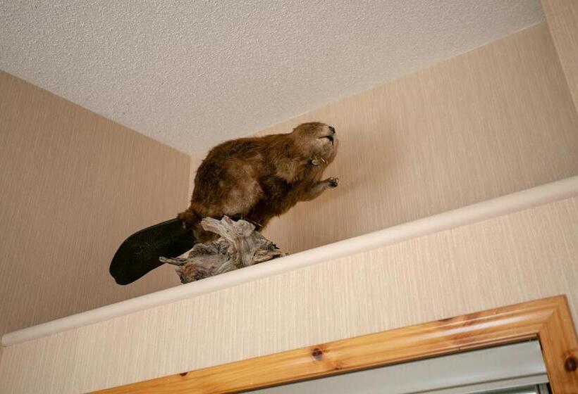 فندق Banff National Park Wood Lodge