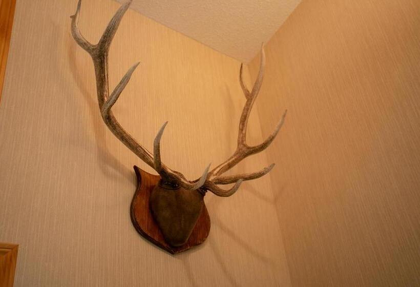 فندق Banff National Park Wood Lodge