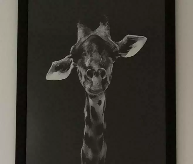 ペンション A 4 Min Du Zoo De Beauval La Maison à Partager Ch1