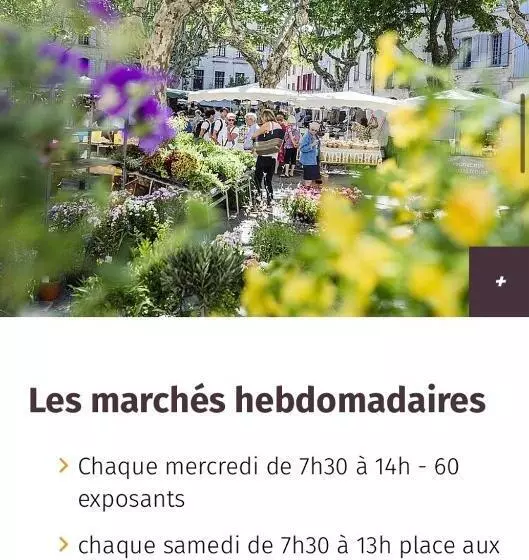 Studio Refait à Neuf Cœur D’uzès