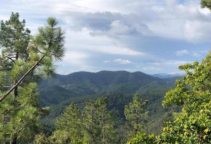 T2 Entièrement équipé Et Refait à Neuf à 10mn Alès