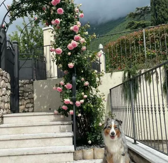 Aamiaismajoitus (B&B) Corte Caiar Bed&breakfast