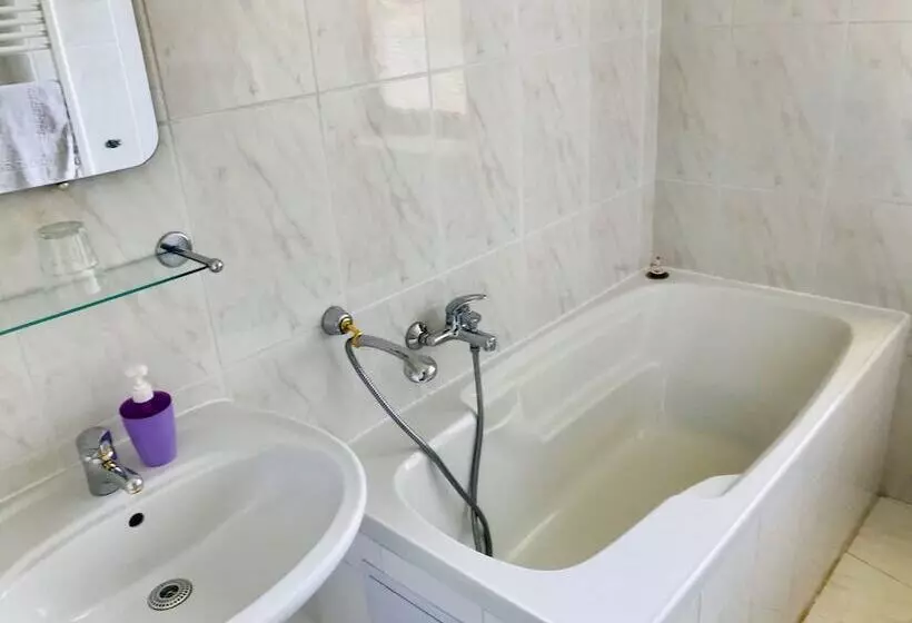 ペンション Penzion Jany