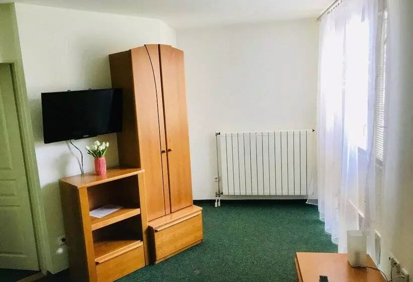 ペンション Penzion Jany