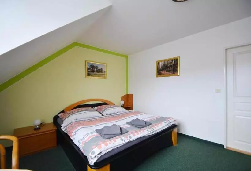 ペンション Penzion Jany