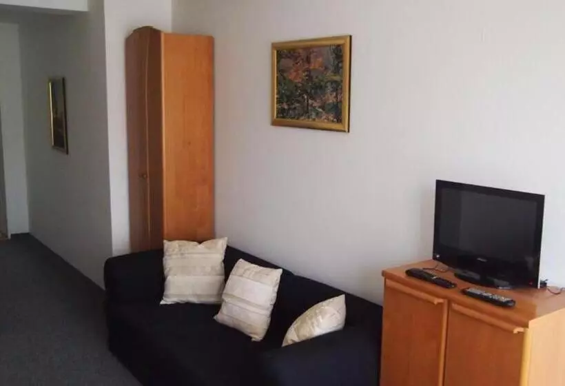 ペンション Penzion Jany