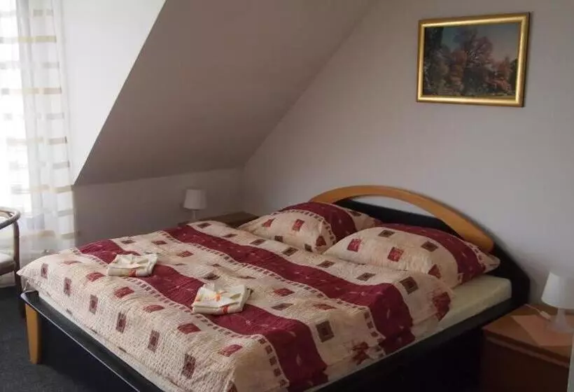 ペンション Penzion Jany