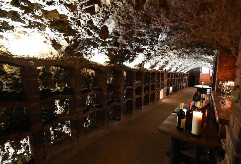 ペンション Penzion Na Vrbici