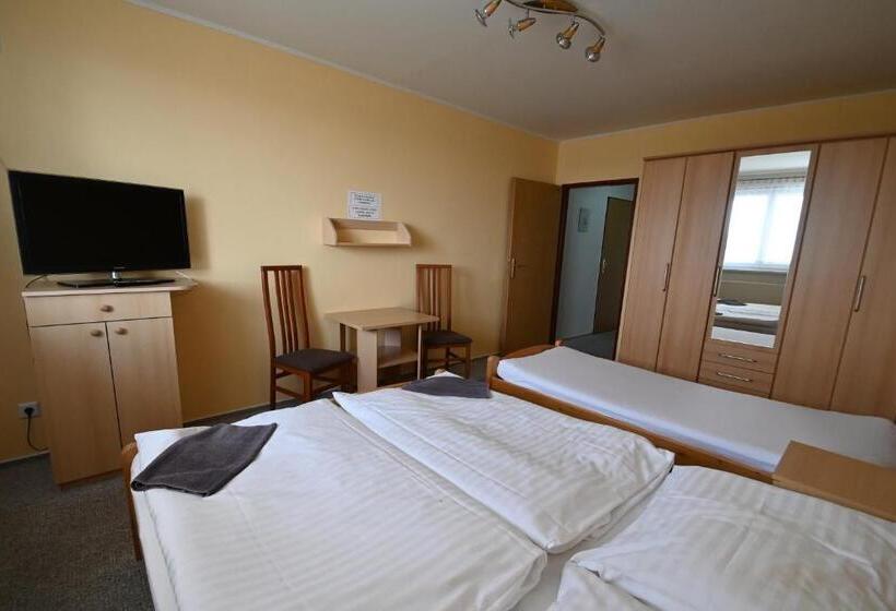 ペンション Penzion Na Vrbici