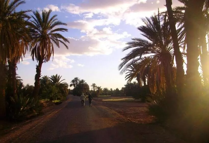 Mhamid Auberge Saharaespace