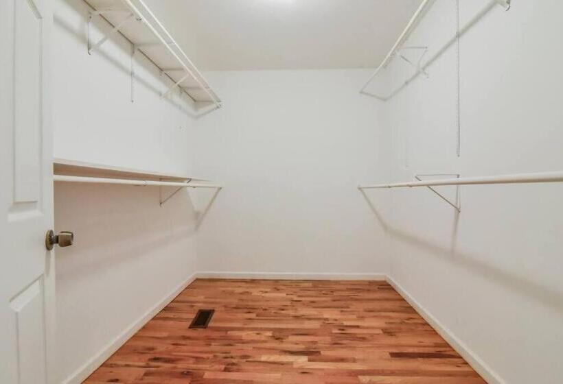 Black Mountain Beauty