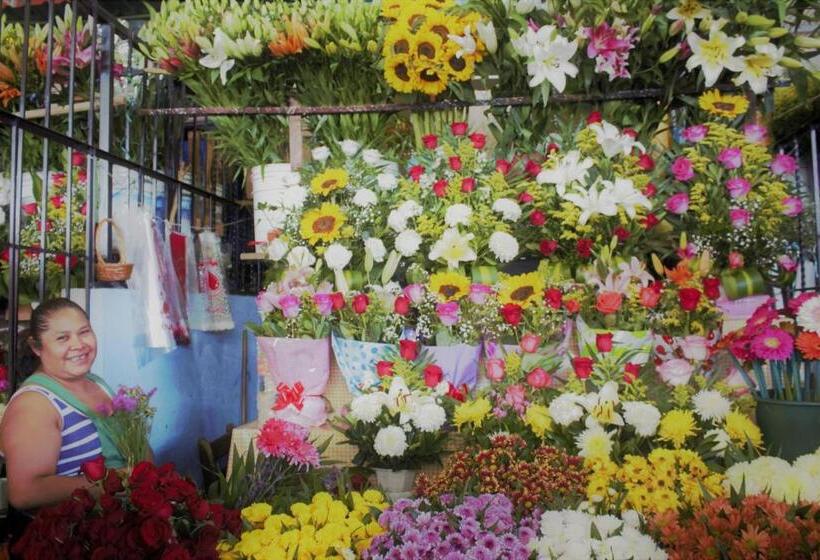 פנסיון Casa Santaella