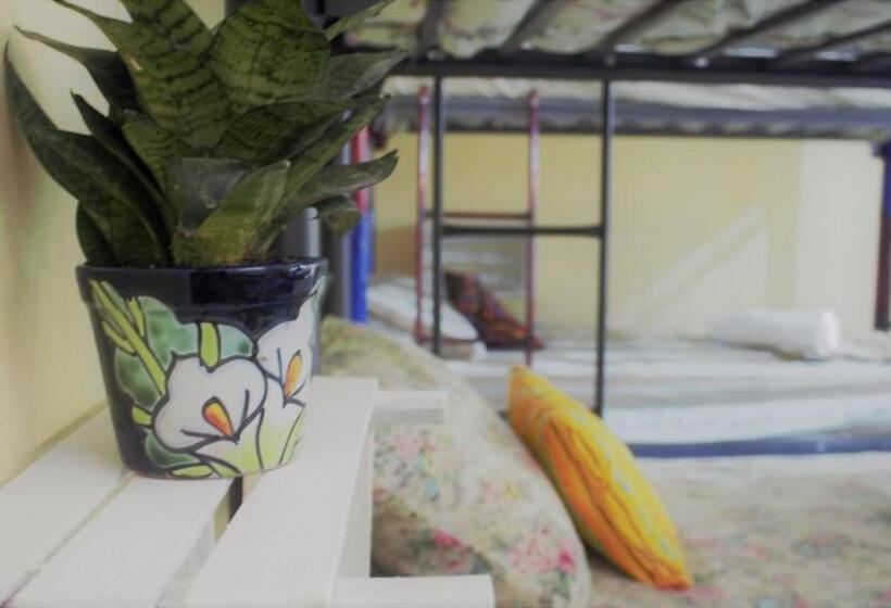 פנסיון Casa Santaella