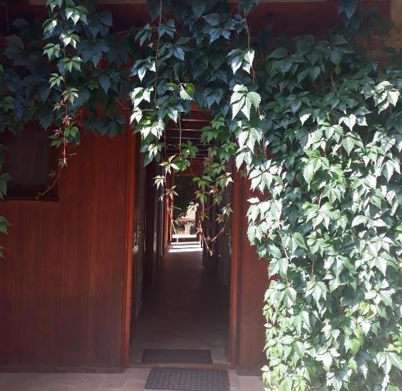 膳宿费 Vadszőlős Porta