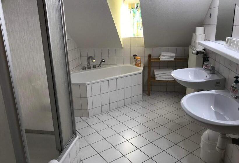 Budget Pension Plauen