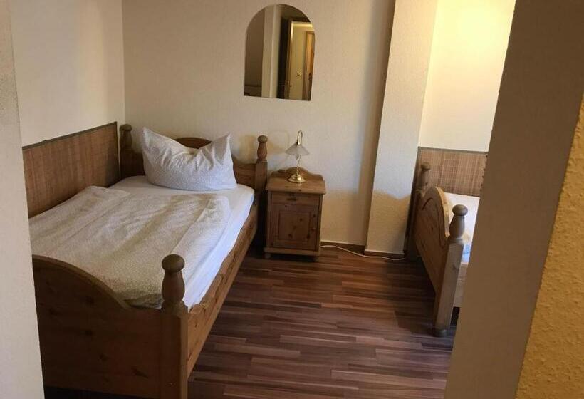 Budget Pension Plauen