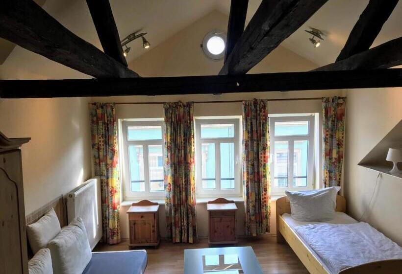 Budget Pension Plauen