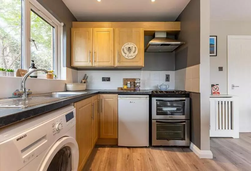 Central Apartment 3b